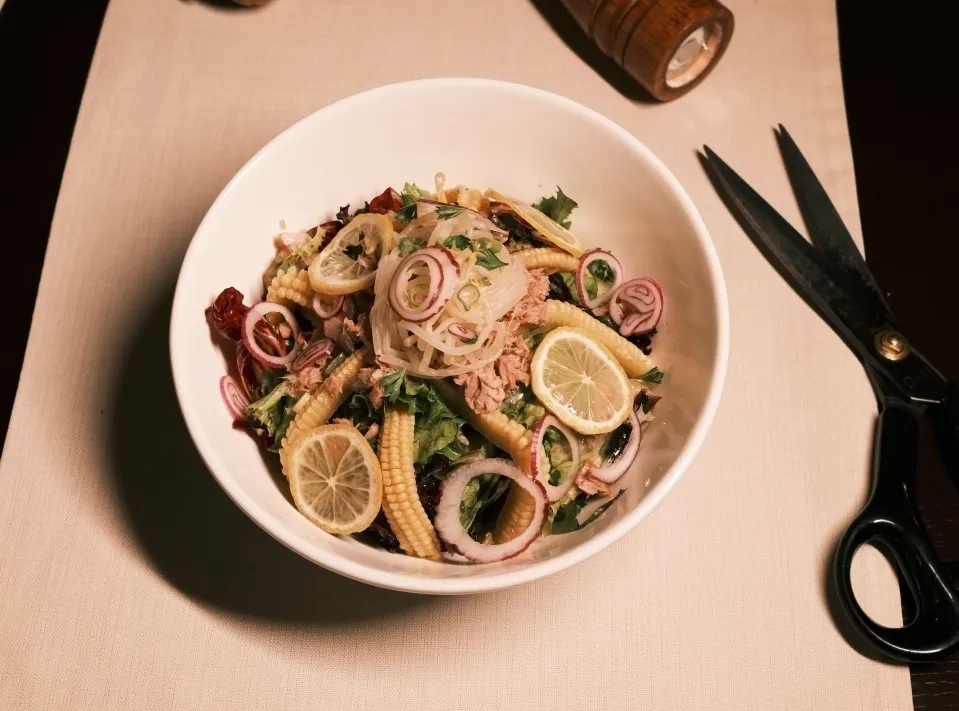 Ton balıklı salata